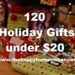 120 Holiday gifts under $20