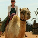 Camel Ride in Abu Dhabi