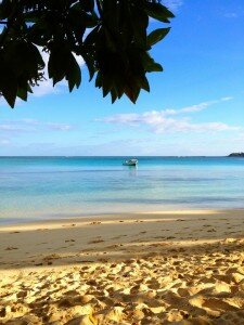 The Happy Homeowner Beachfront Villa in Fiji