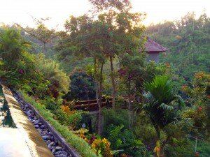 View from dinner in the Bali jungle